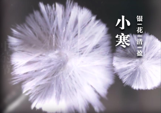 烧杯中的24节气-小寒