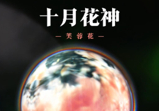 【十二花神】十月：芙蓉