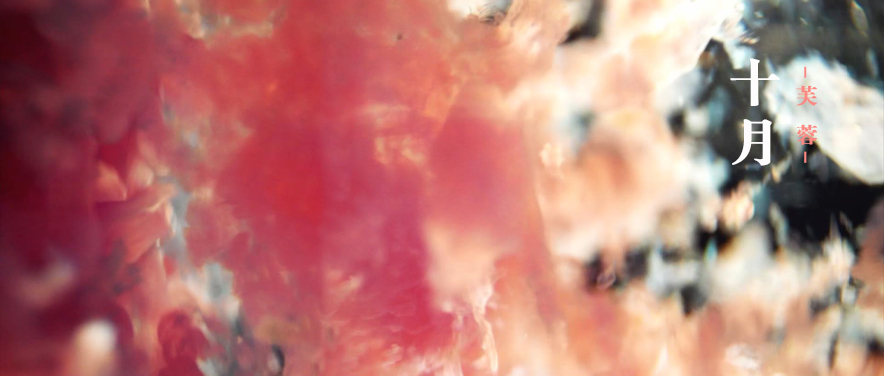 【十二花神】十月：芙蓉