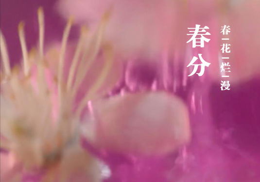 烧杯中的24节气-春分