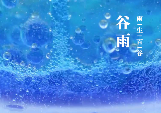 烧杯中的24节气-谷雨