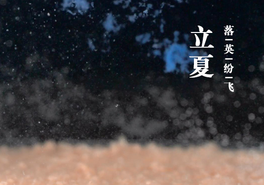 烧杯中的24节气-立夏