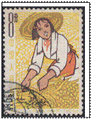 文本框: