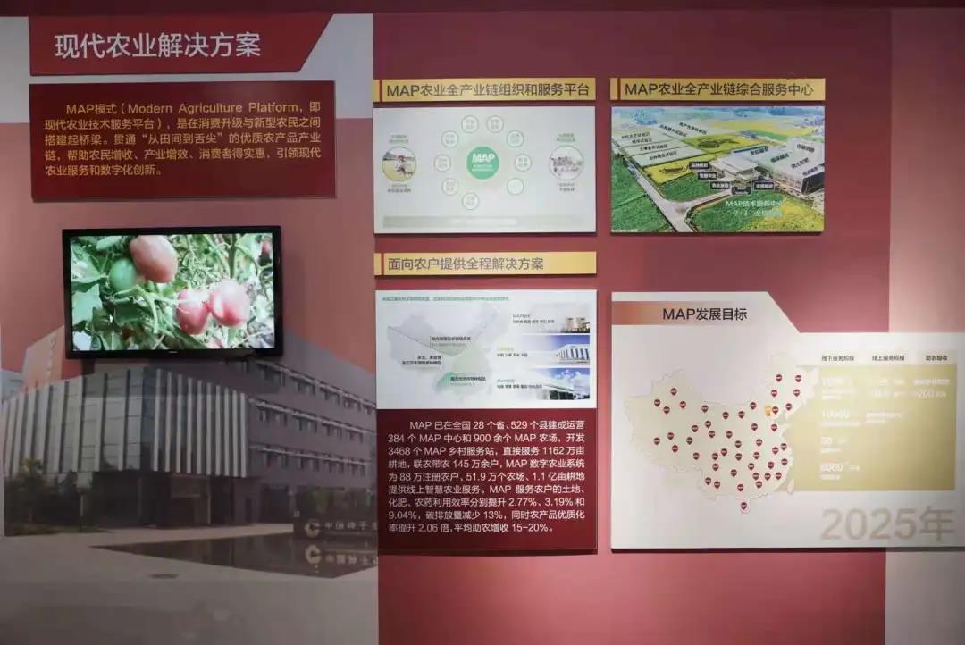 点击查看大图